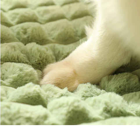 Comfortable Thick Dog Bed for Pets - Washable Design